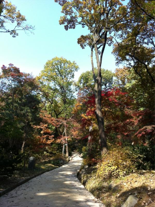 groundwavesun tweet picture