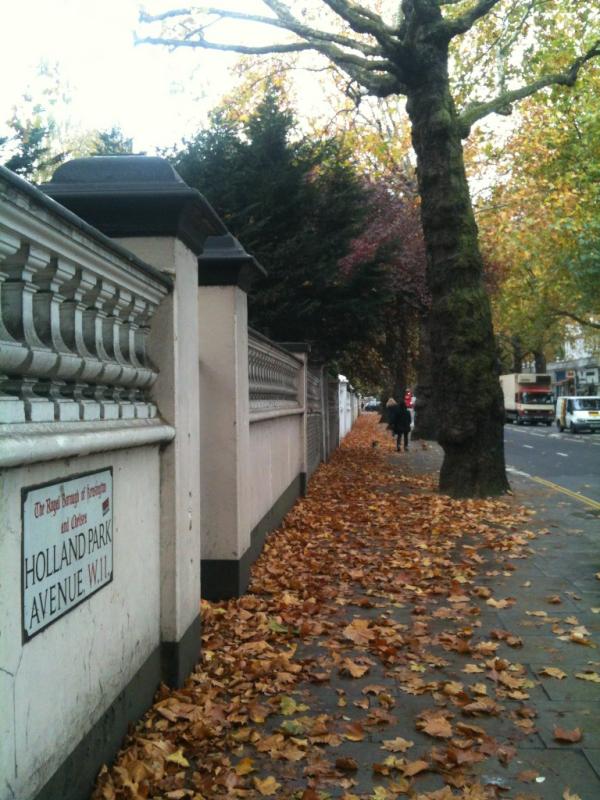 LotyJ's tweet photo. It rained last night http://t.co/5ovUF8LI