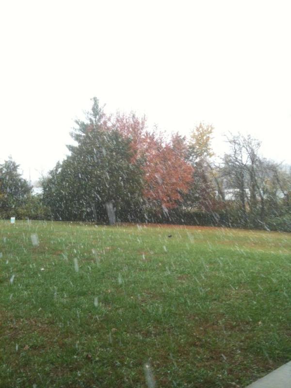 jhox1's tweet image. Snowed kind of heavily this morning. 65 yesterday. #MOweather cc @billikenhawk @almek14