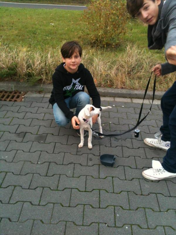 MatteoBarbanti's tweet photo. http://t.co/S8YxIUaS