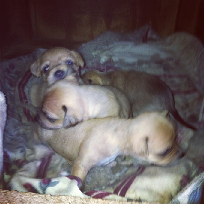 Watch RiRiNavy's leaked NSFW photo on TwXstars