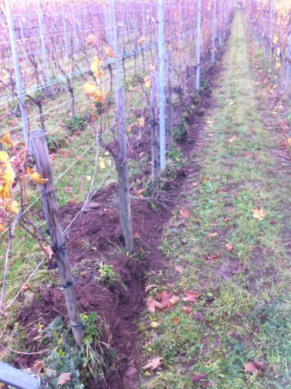 Travail du sol avant l hivers.