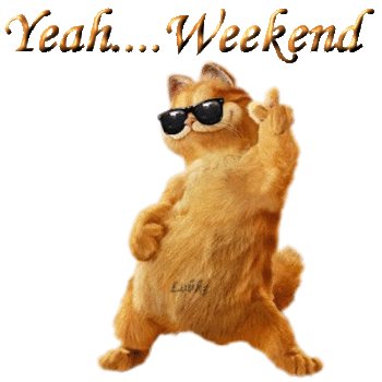 alvarfnl's tweet photo. Eindelijk weekend! http://t.co/Q1k8PDQM