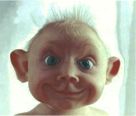 LabAlannah's tweet photo. @Loneka_Lab check out this baby's crazy face! http://t.co/orNKSS14