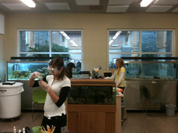 Our marine scientist is away this week. Do we worry about our fish? Nah, our Jr. Aquarists have it under control!