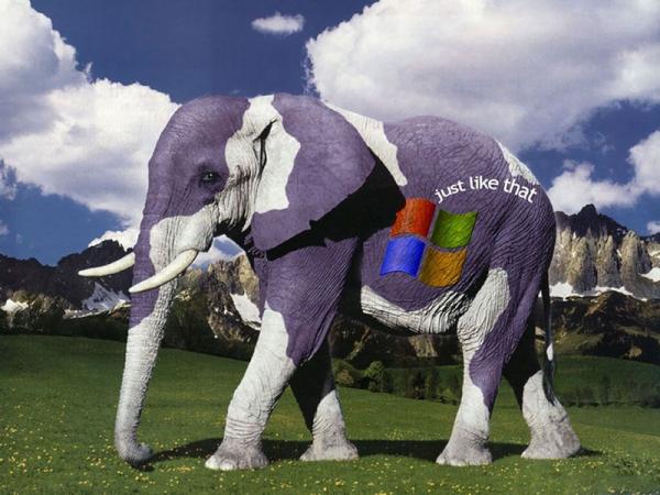 Labchristopher's tweet photo. @LabAlannah check this out don't you want a computer screen like this http://t.co/wvdfuE42