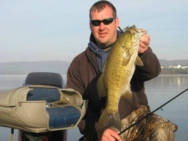 Fish Sense tweet media