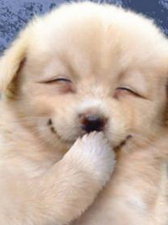 wise0607's tweet photo. 항상 웃으며 살아요.. http://t.co/A4VuMrO7