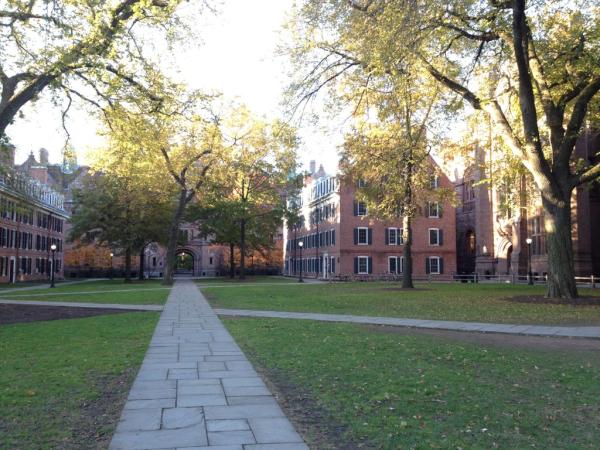 Global21 tweet media