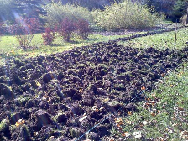 Urban Farming in ROC tweet media