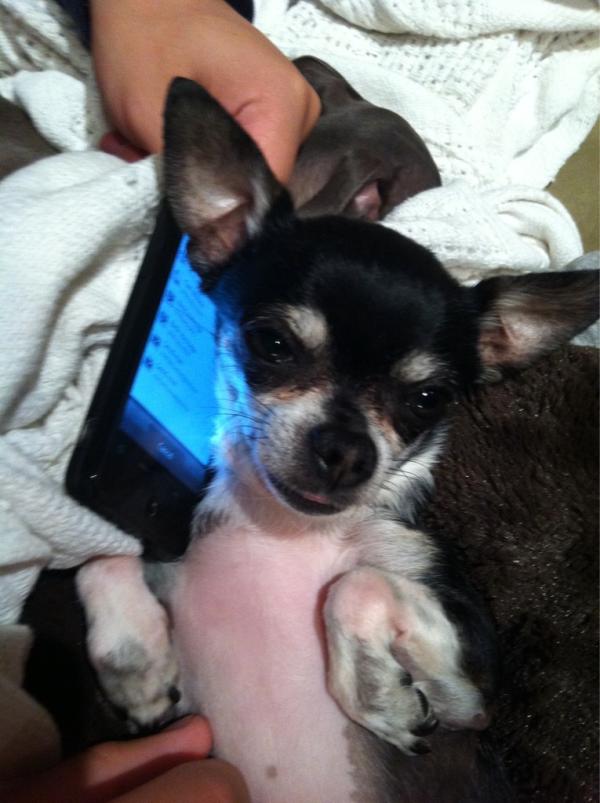 CharlesMarbles's tweet photo. #drunkdailing http://t.co/eOtUzf65