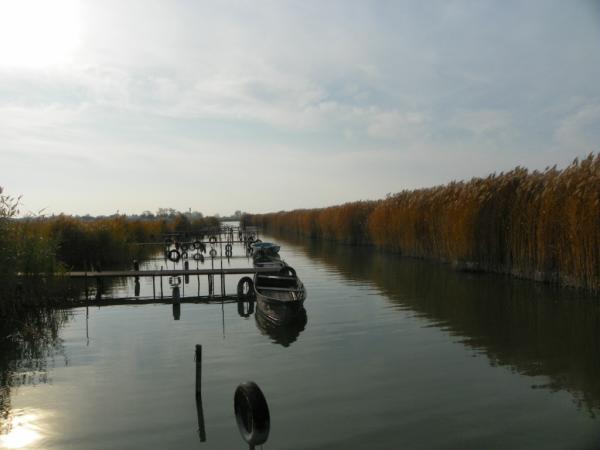 Tompa Tamás tweet media