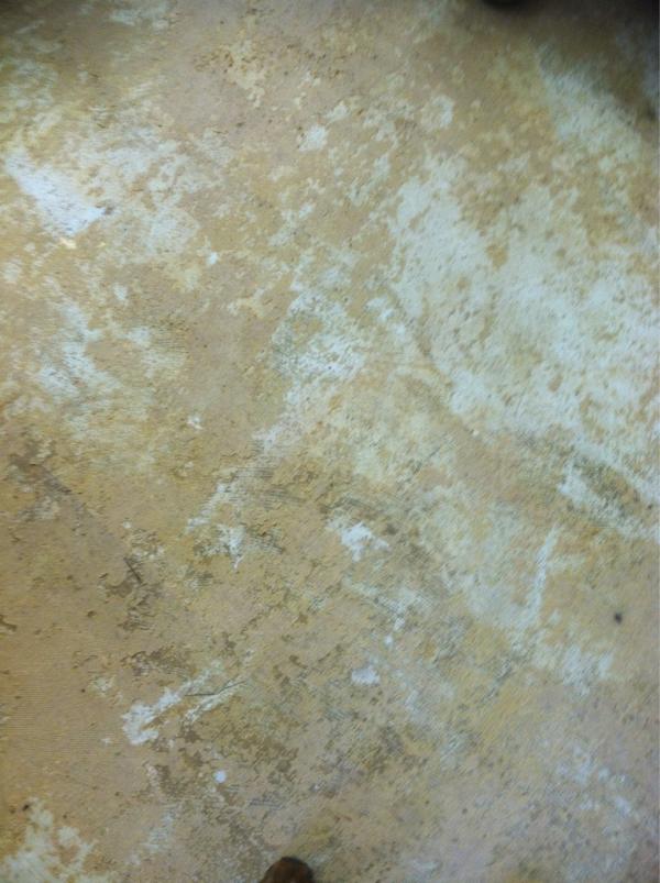 sb_pettis's tweet image. When the floor in your homeroom looks like this #staproblems