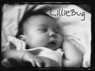 One of my favorites of my Heart and love ...lillie bug or poo