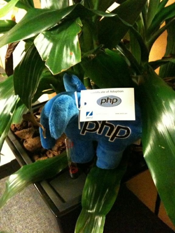 Marcs_ElePHPant's tweet image. I&apos;m in the jungle baby!!!!