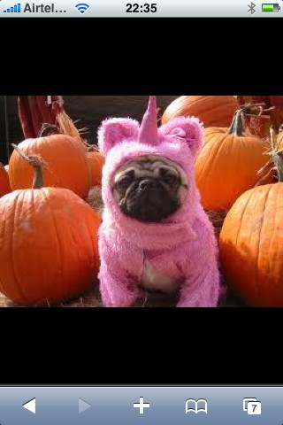 ClydePower's tweet photo. @MansellGreg happy birthday mate !! http://t.co/ycNUrIcq