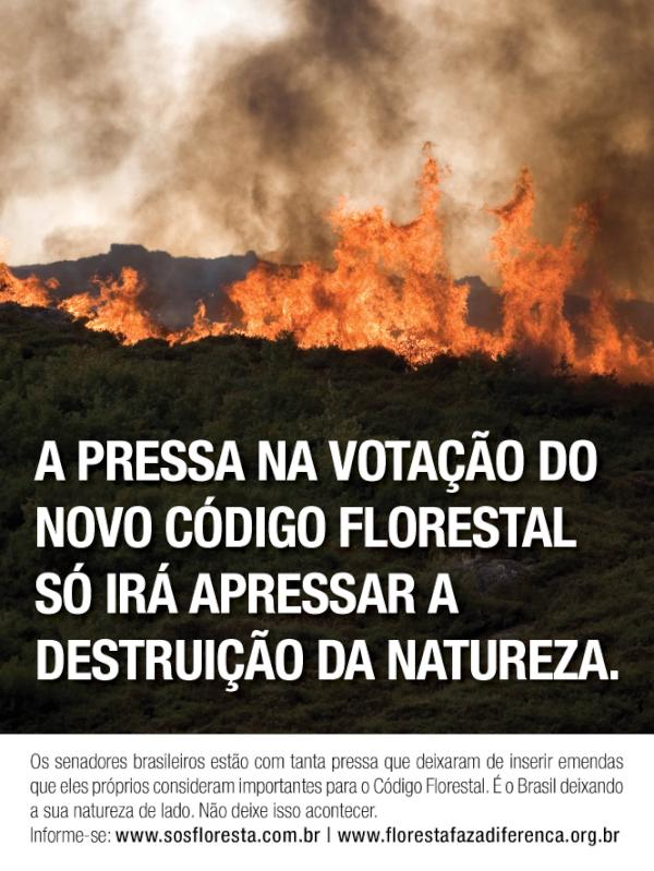 wwfbrasil's tweet photo. A pressa na votação do #CódigoFlorestal só irá apressar a destruição da natureza http://t.co/MPNpcVCA