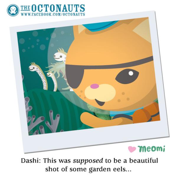 Octonauts's tweet photo. Dashi: This was supposed to be a beautiful shot of some garden eels... #piratecat http://t.co/RQSTQXFH