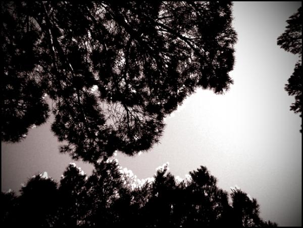 susverdu's tweet photo. http://t.co/PnHQtPyX
