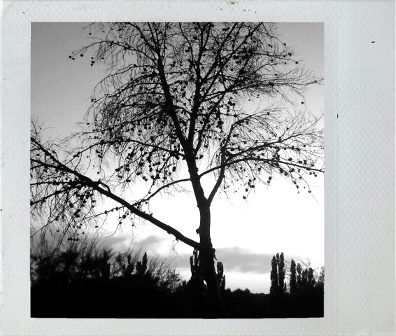 susverdu's tweet photo. http://t.co/hsrZvdZq