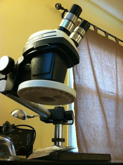 MikeWaddick's tweet photo. $6.99 LED ring light :) http://t.co/toxf1qjb