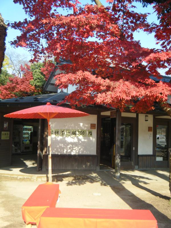 ゆるゆり 聖地は富山駅以外にもたくさん 千葉や東京の聖地も徹底紹介
