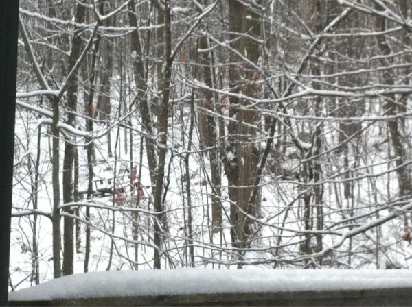 BeingValya's tweet photo. Waking up to my first snowfall in #Chelsea. #bliss http://t.co/DVmHiJyv