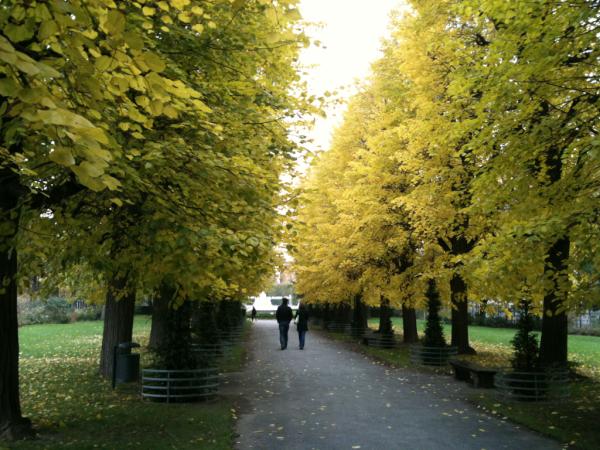 Simona Cremonesi tweet media