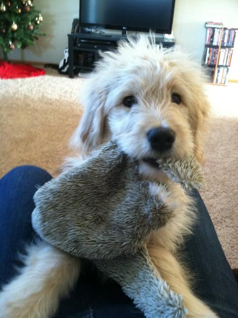 Ready to play