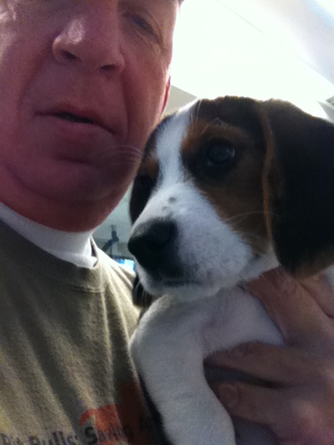 77aggie2's tweet photo. Come down to Salt Lake County Animal Services at 511 W. 3900 S. to adopt your next 4-legged family member. http://t.co/RCQcaffs