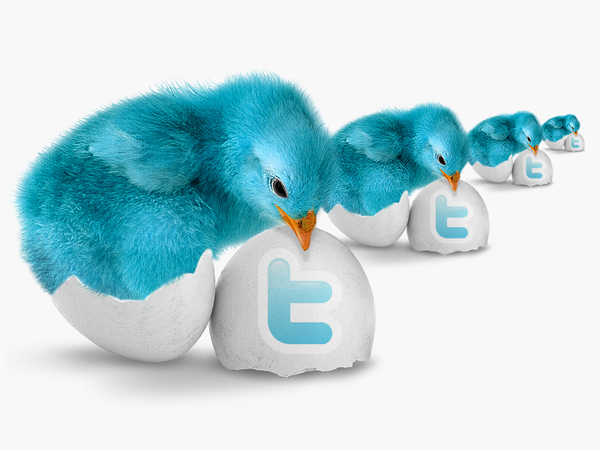 SplashTheCat's tweet photo. Twtters http://t.co/8hCXyAiC