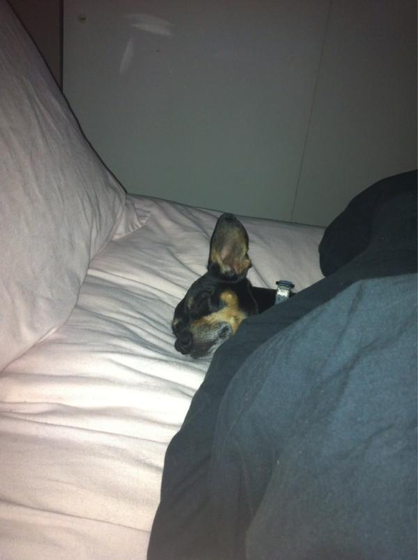 r_obynh's tweet photo. Aww my little man! http://t.co/IogemBio