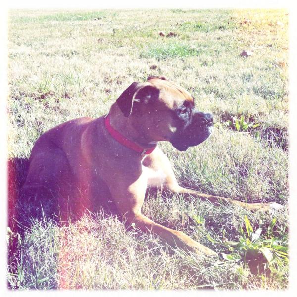 mickysking's tweet photo. @ZooeyDeschanel http://t.co/kxcA6VIt