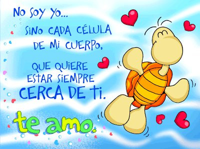 msolis_ tweet picture