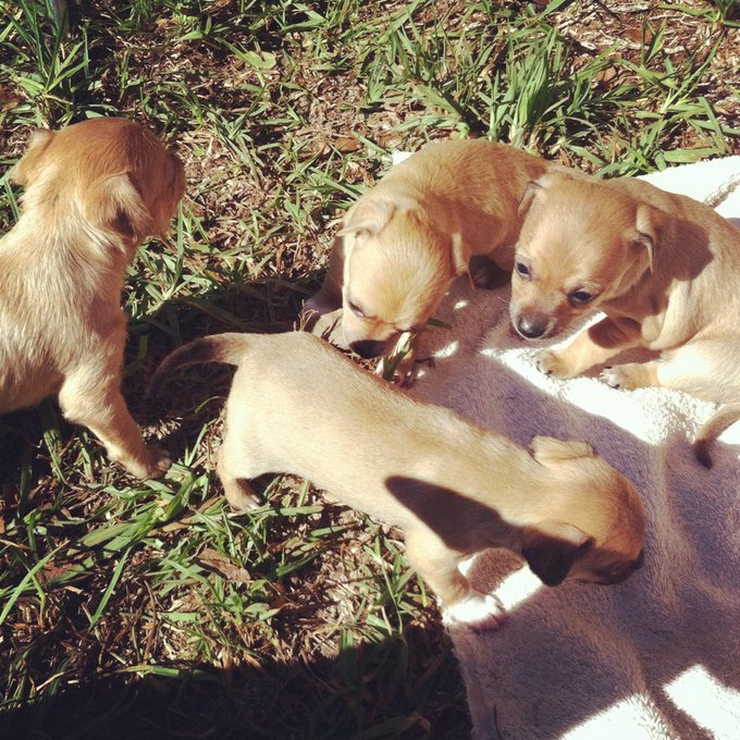 Watch RiRiNavy's leaked NSFW photo on TwXstars