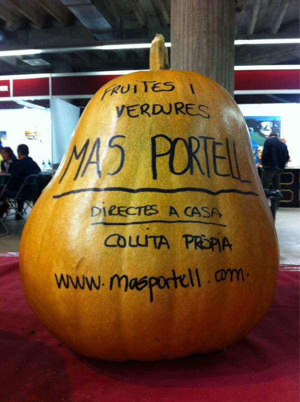 MasPortell's tweet photo. I recordeu que ens trobareu a www.masportell.com http://t.co/oDbDirJC
