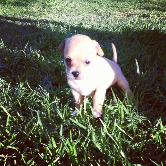 Watch RiRiNavy's leaked NSFW photo on TwXstars