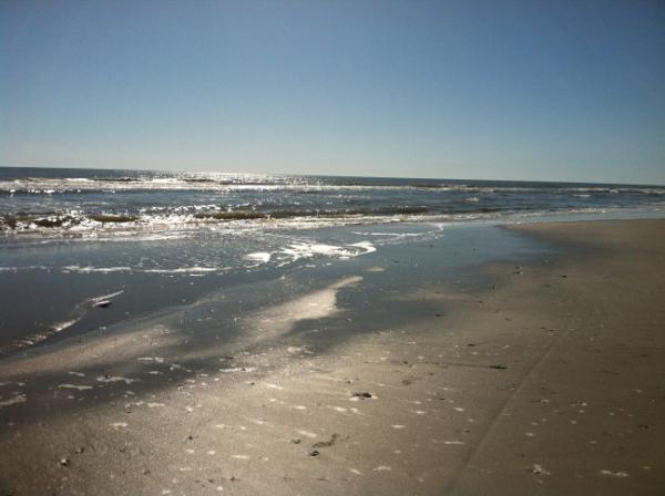 ji_hwang's tweet photo. The entire beach to myself! Soo full of light and gratitude I might burst!! @FollyBeach http://t.co/6H8KawJO