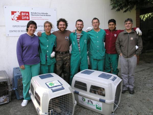 Vulture Conservation tweet media