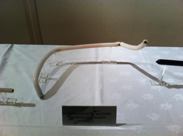 Sean Nourse tweet media