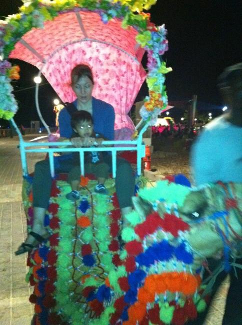 ajaysancheti's tweet photo. Little man about to go for a camel ride. http://t.co/I8b8Jy2J