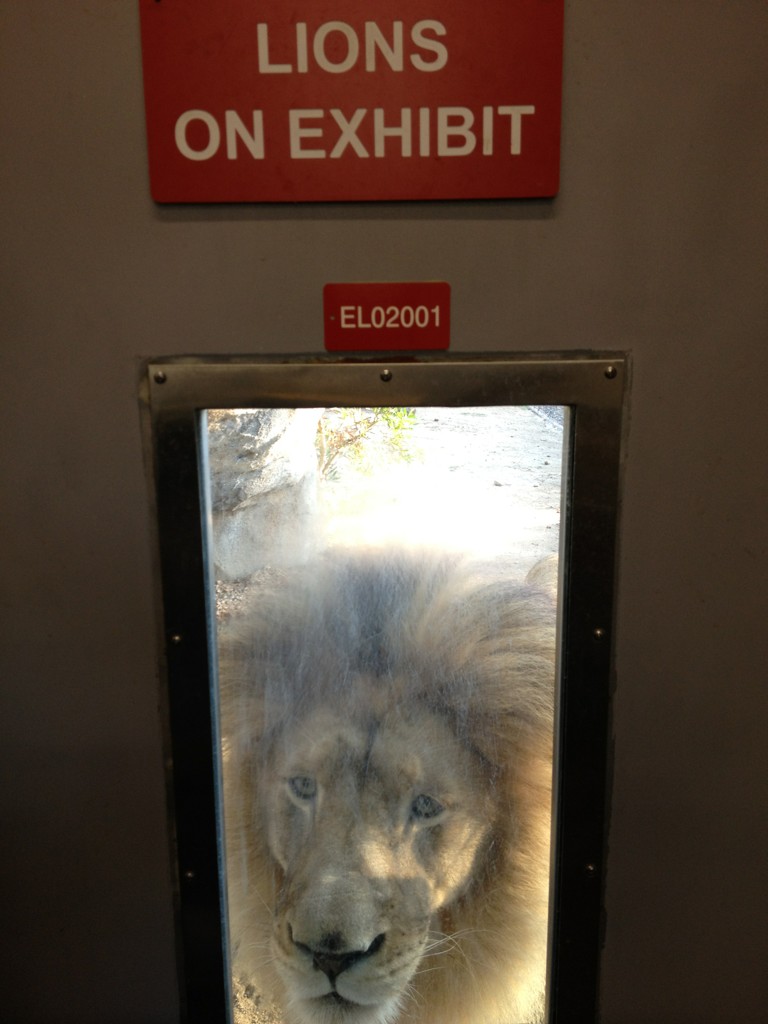 Caroline_0190's tweet photo. “@JacksonRathbone: http://t.co/igCSDnEo” so cool he says just hello ;)