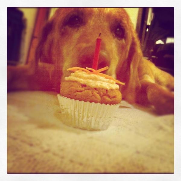 24Sunshine's tweet photo. Happy 15th Birthday Cookie!! http://t.co/5QLOCAnI
