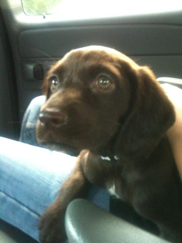 Angelle Farrell tweet media