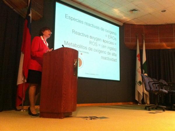 Dra. Nina Subbotina
2do Curso Internacional de Medicina Hiperbárica y Subacuática. 
HTS - ACHS. Santiago, Chile.