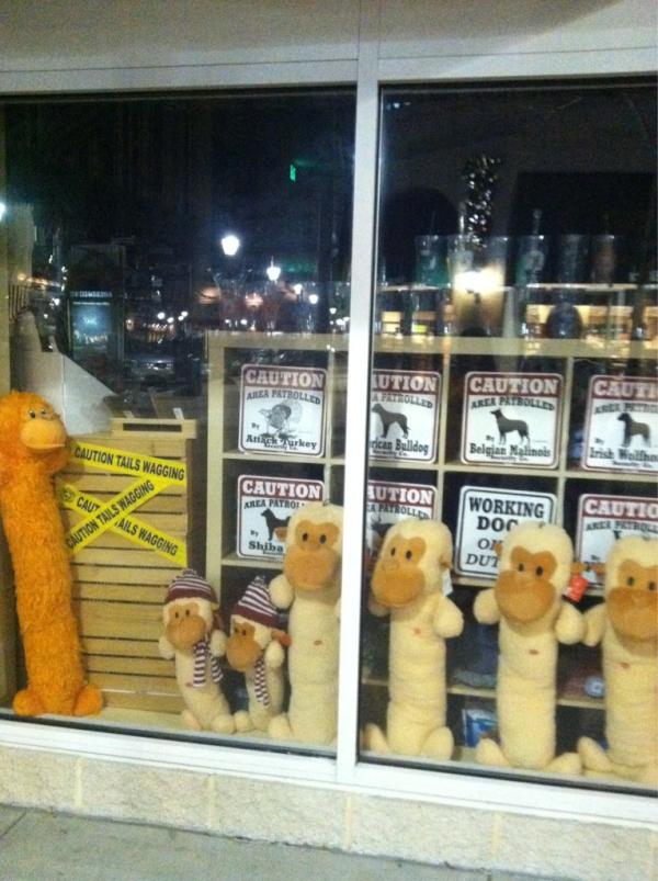 SamanthaRaab's tweet image. Monkeys with nubs.. How does this work, monkeys swing?.. #notpractical