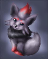 SplashTheCat's tweet photo. Zorua real life http://t.co/ozwxAoXA