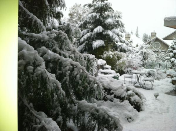 pmbohn's tweet image. Winter Wonderland in Vancouver. Off to Whistler for the weekend, a snow paradise.