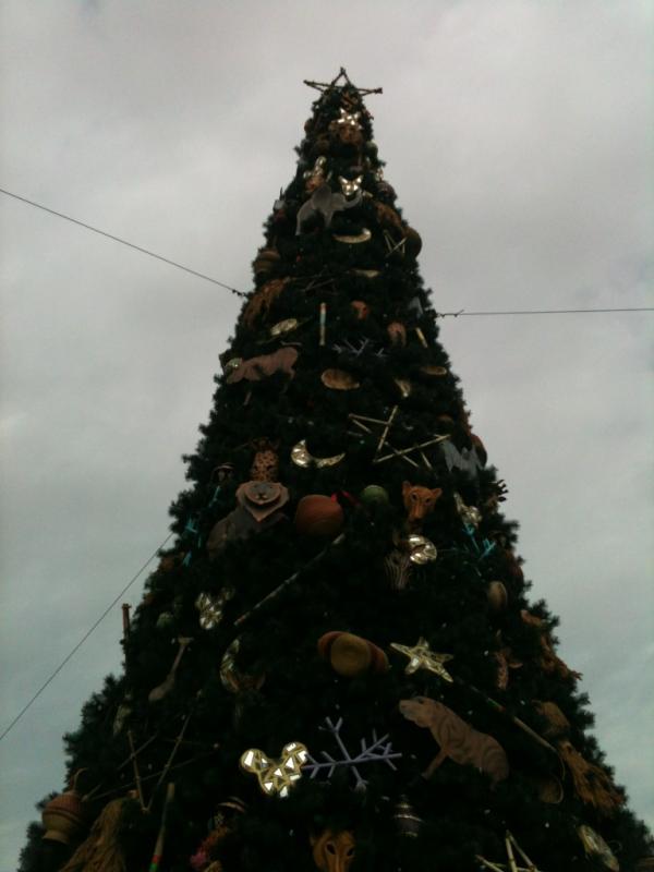 eliledford1's tweet photo. Animal kingdom 🎄 http://t.co/4wMyjFLo