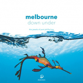 MelbDownUnder's tweet photo. Website going live tomorrow! http://t.co/YgW4snTp